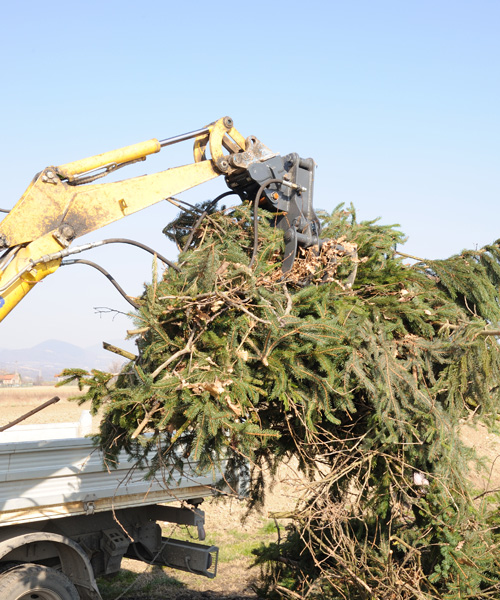 Pinza Ramaglie Idraulica